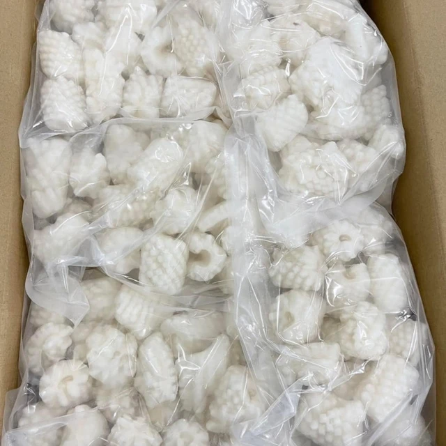 Fresh Frozen squid large pieces fresh squid from the pier before freezing Cheap price 1 Box weight 11 KG