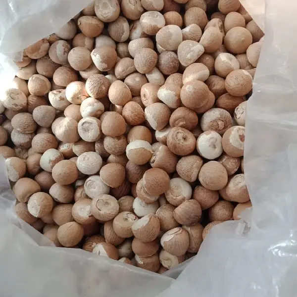 Высококачественные гайки Betel оптом/оптовая продажа 10 кг в упаковке из Вьетнама