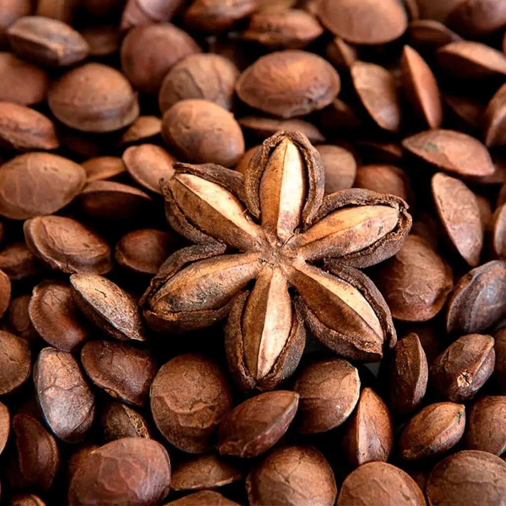 BEST PRICE | Dried Sacha Inchi Nuts/ Inca Peanut with high quality from Viet Nam