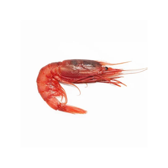 Wholesale Price Frozen Vannamei Shrimp (Seafood) Red Shrimp Prawns Bulk Stock Available in Fresh Dried Styles Box Packaging Sale