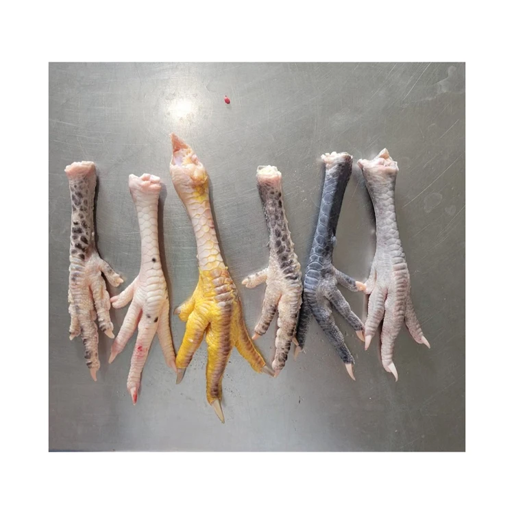 Best Grade Chicken Halal Frozen Chicken paws For Good Price Export Frozen Chicken Feet for ready market