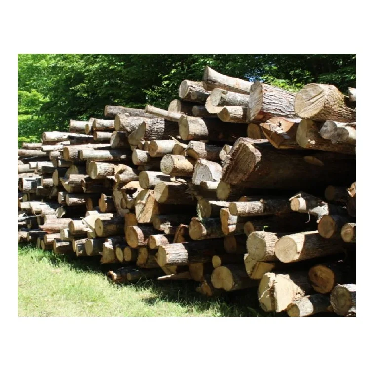 Hardwood Logs Sale Low Cost Bulk Purchase Ideal for Firewood and Woodworking Quality Wood at Great Prices