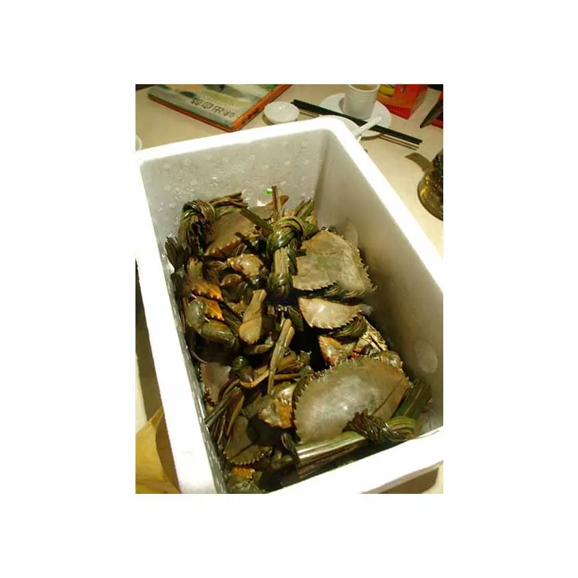 Premium quality fresh mud crab available for direct purchase perfect for culinary dishes.