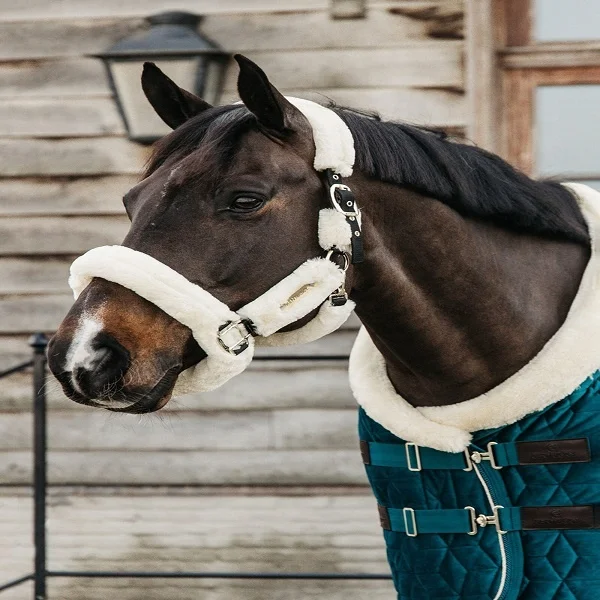 Quilted Show Rug Horse Equestrian Horse Rugs Artificial rabbit skin fiber fill Polyester Cover Manufacturers Riding House