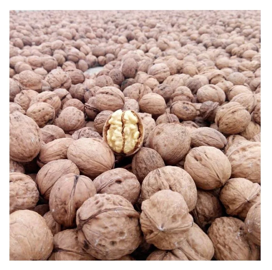 Special Discount Cheapest Walnut Inshell Manufacturer Walnut In Shell Wallnut