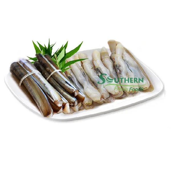 Storage high IQF process quality Origin weight sea food frozen Frozen Cooked Razor Clam Meat Farm Raised SFF from Vietnam