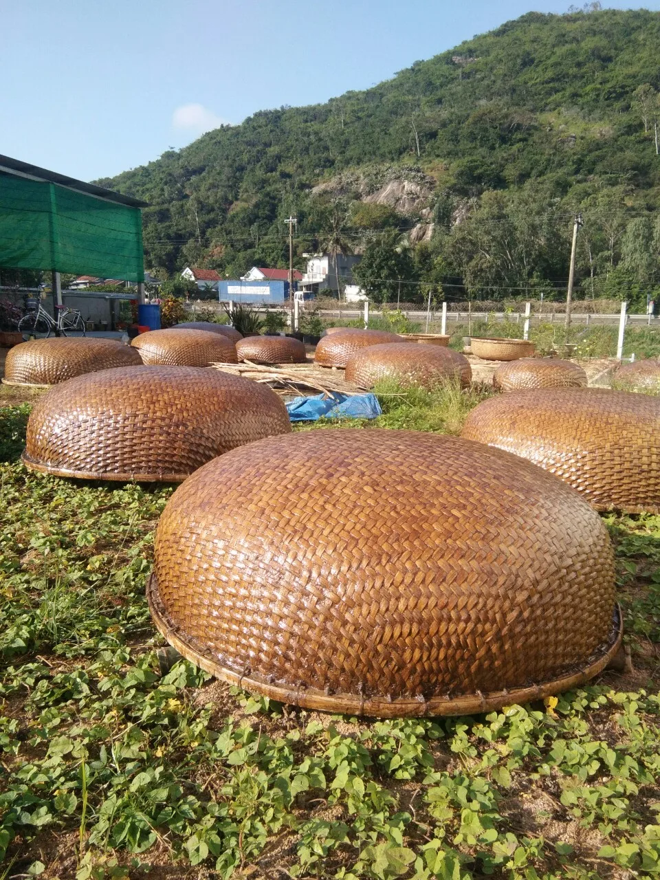 Оптовая продажа Экологически чистая круглая бамбуковая лодка из натурального бамбука для рыбалки хорошая цена Вьетнама