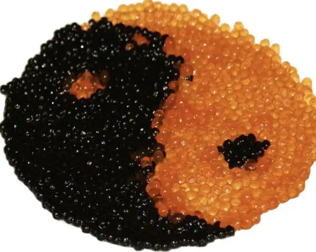 Factory Price Seafood Black and Red Caviar