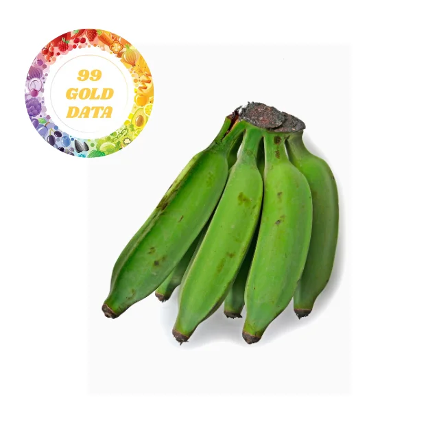 Premium Fresh Bananas, Sweet and Natural, Ideal for Snacking and Cooking, High-Quality Fruit, Bulk Orders Available, Authentic