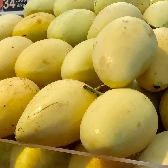Экспортеры свежих фруктов с богатым вкусом упаковка премиум качества производство по конкурентоспособным ценам манго Вьетнам