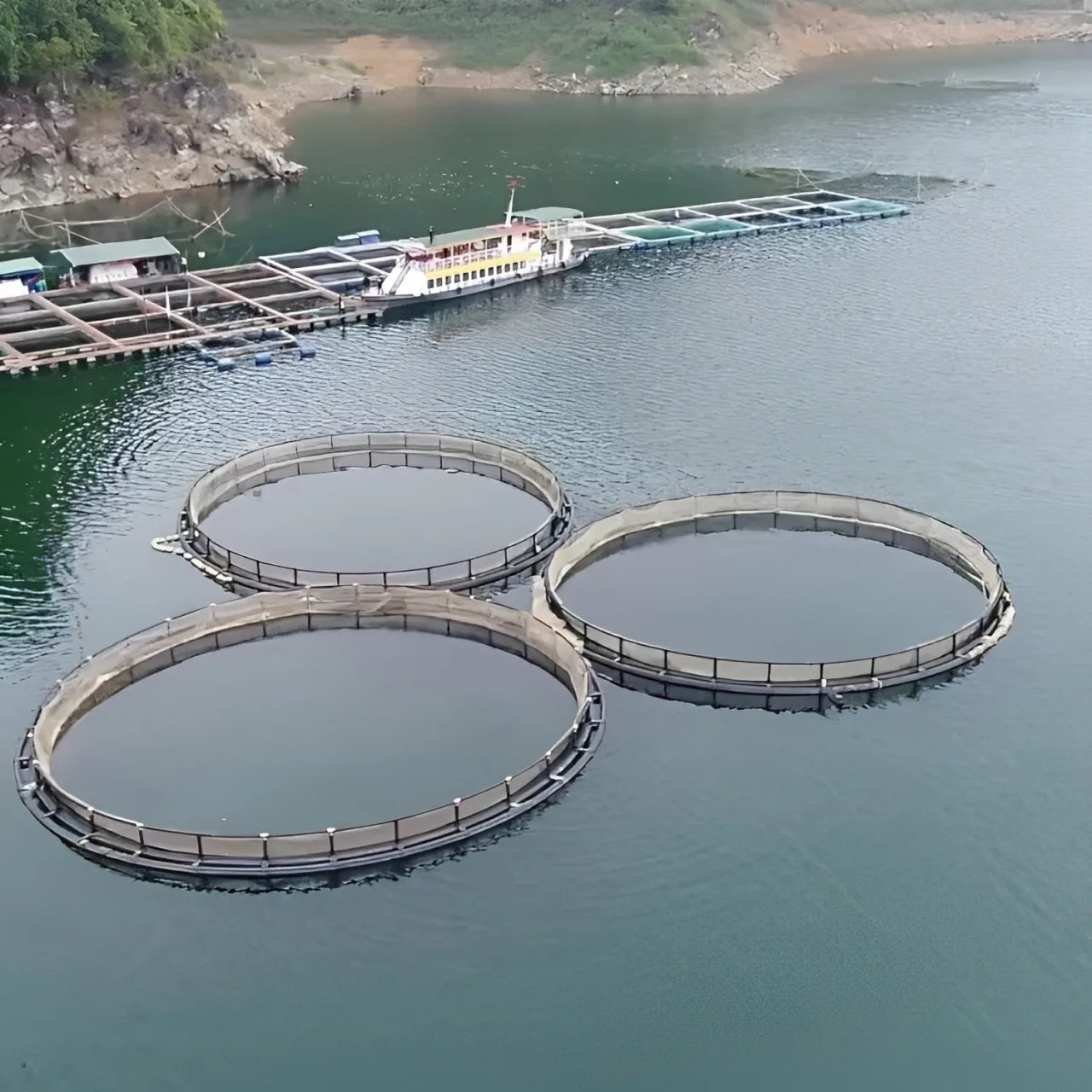 Wholesale Fish Aquaculture Farm Equipment Floating Cage Fish Breeding Cages Made In Vietnam Manufacturer
