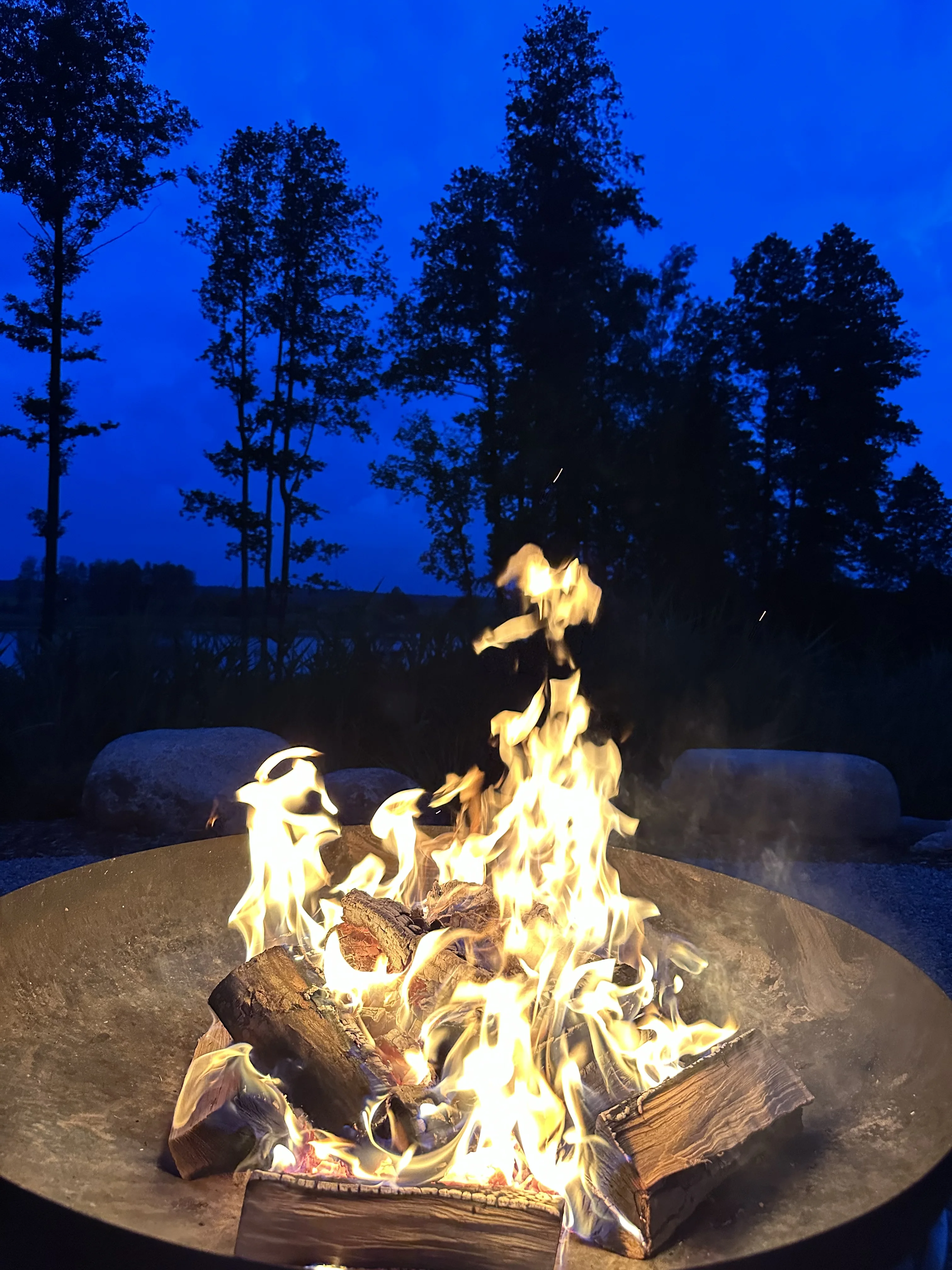 Wholesale Supplier of Alder, Birch, Oak, Hornbeam, Ash, Beech Kiln Dried Firewood in 22L Mesh Bags | Bulk Quantity for Sale