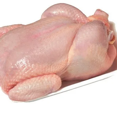 Quality Halal Frozen Whole Chicken Wholesale Prices Whole Frozen Halal Chicken