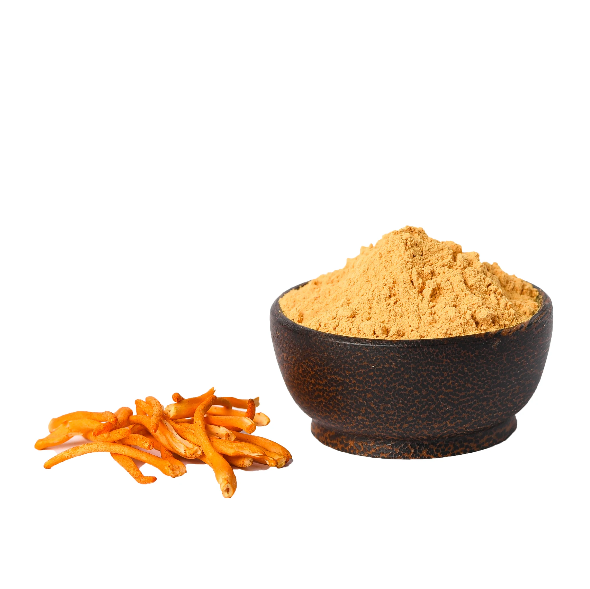 Top quality bulk price Mushroom Powder Cordyceps Cordyceps for food Certification ISO 22000 2018 Customized packaging Viet Nam