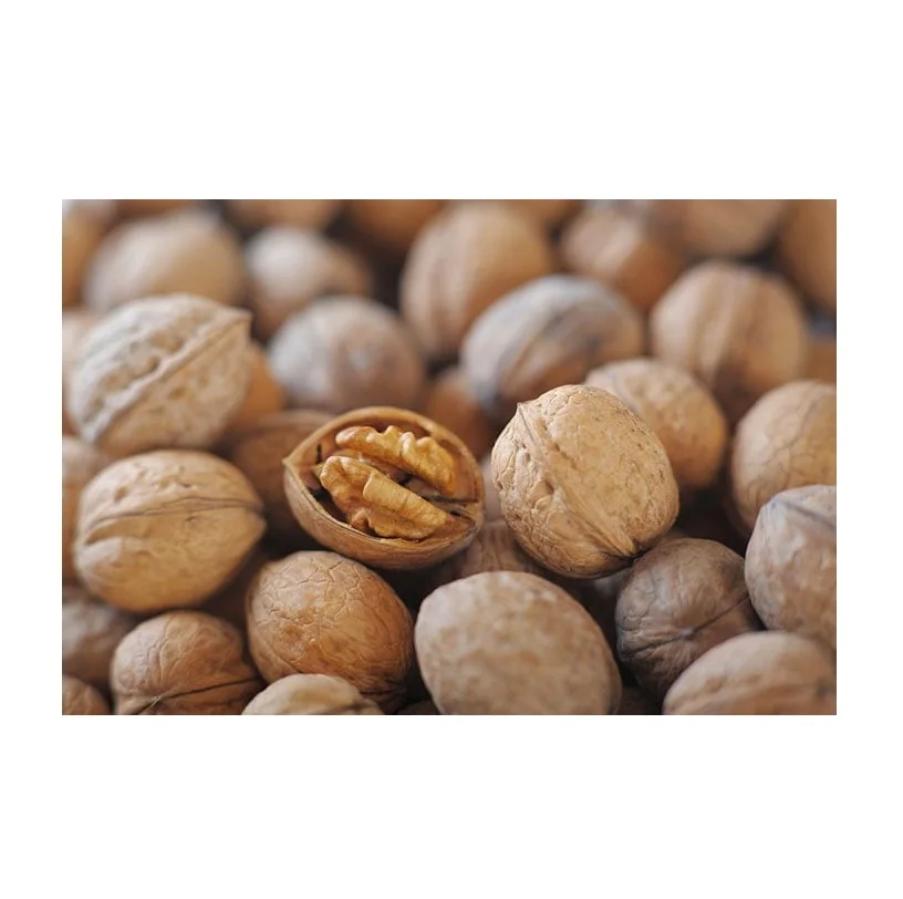 Best Price Unshelled Wallnuts Walnuts And Walnut Kernels