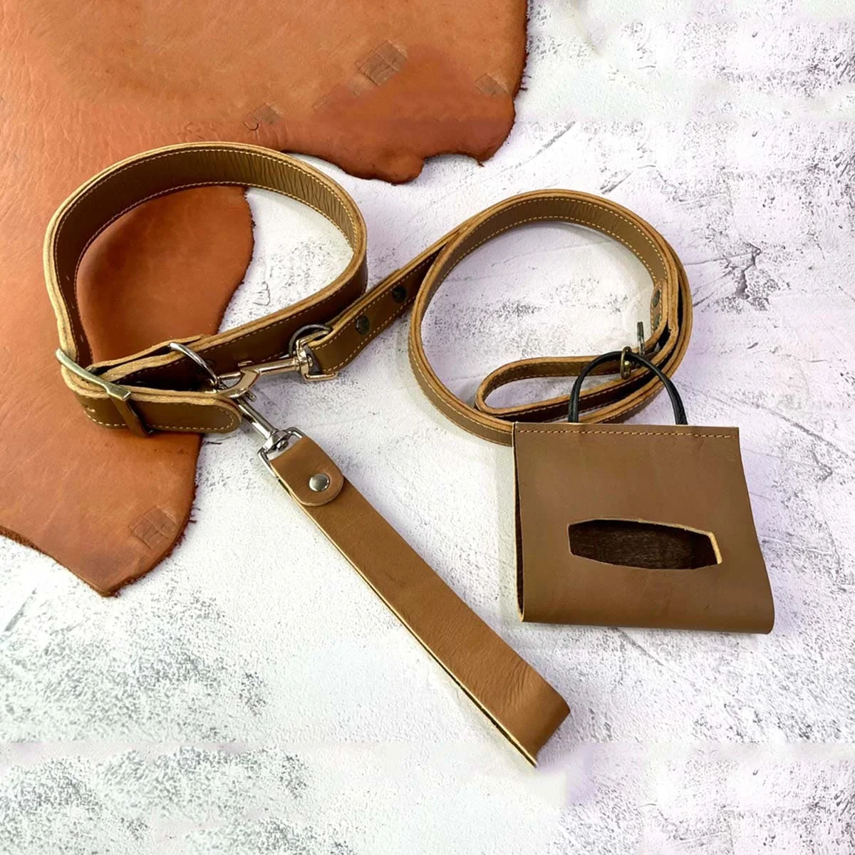 Leather Collar Leash Set