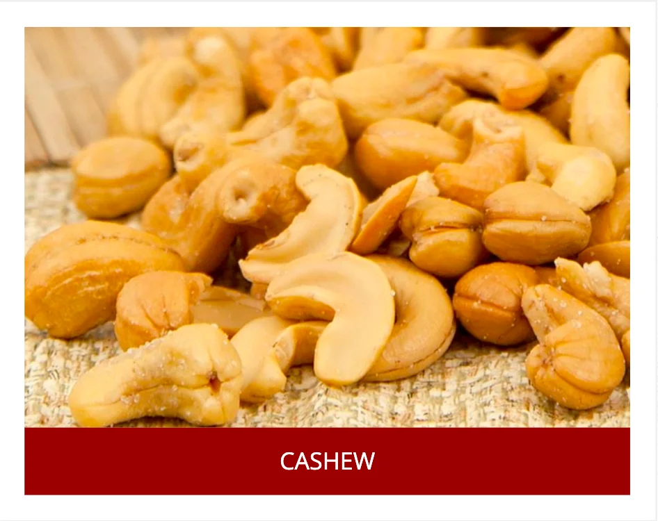 vietnam cashew price best cashews nuts in the world made in Viet Nam WW320 WW240