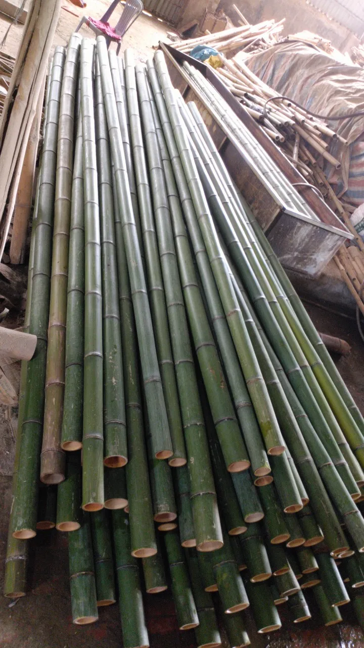 Лидер продаж прочный вьетнамский завод и 100% Сырье бамбуковый шест с индивидуальным размером