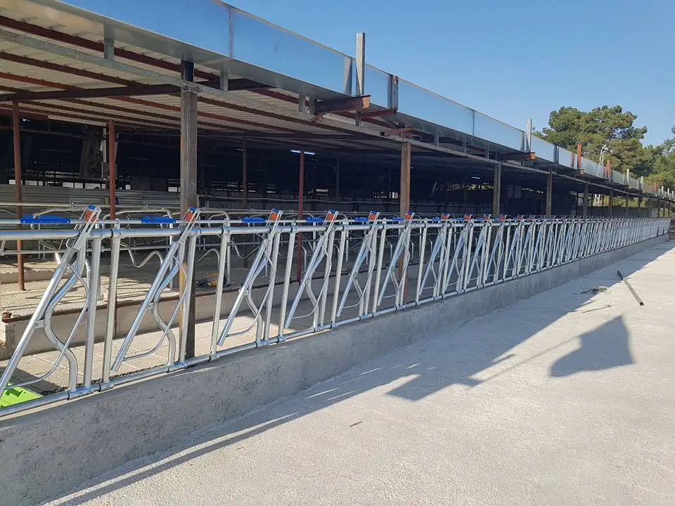 Cattle Feeding Systems Animal Feeder Lock System