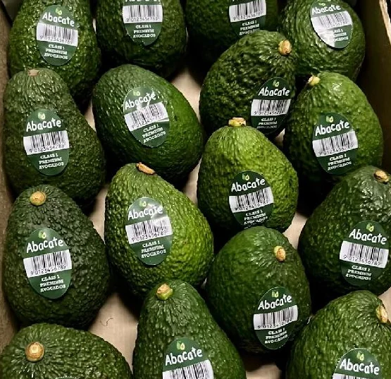 Pure Natural Fruit Spray Dried Avocado Fruit Powder Avocado Seed Powder Avocado Powder  at ug