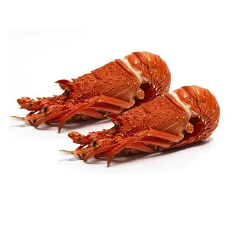 Factory Price Cheap Frozen Lobster/Frozen Crawfish Tails Crayfish