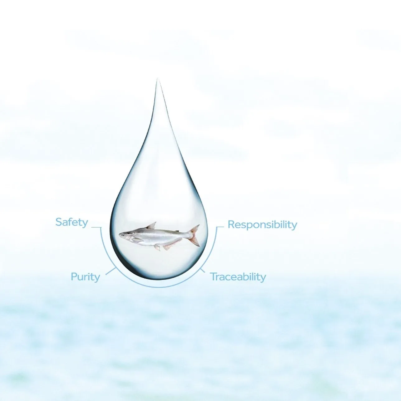 Beverage and food grade gelatin halal certified fish gelatin directly from gelatin manufacturer, support OEM/ODM