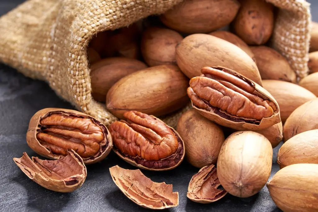High Quality Pecan Nuts Wholesale