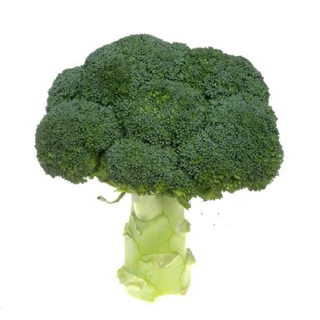 Best Price And Service Wholesale Bulk IQF Frozen Vegetable Broccoli