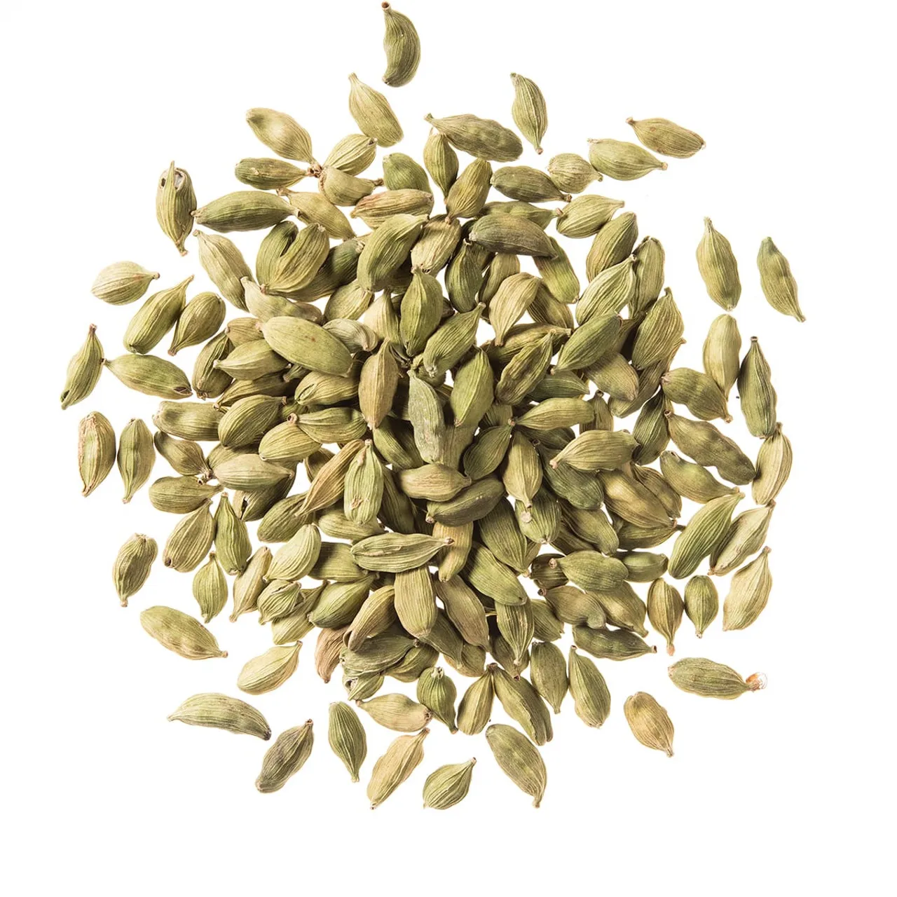 Wholesale Cardamom White High Quality Cardamom Factory Price Dried White Cardamom
