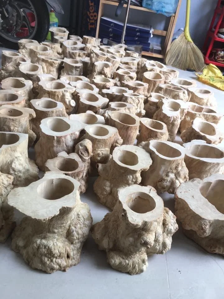 The best quality Coffee Wood (Java Wood) Wooden Planted Pot Home Decoration Kimy +84 938 616 690