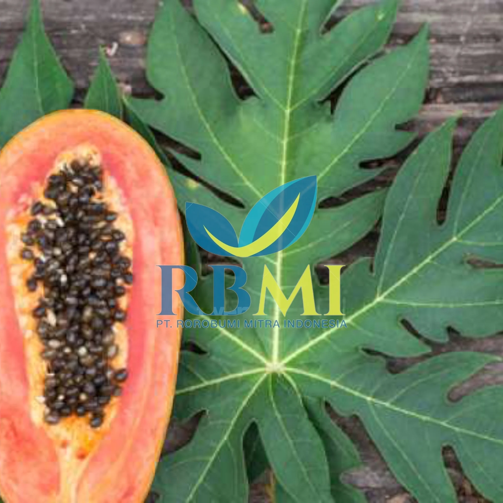 Export High Quality Papaya Leaf/ Papaya Flower for Wholesale/ Dried Papaya Flower