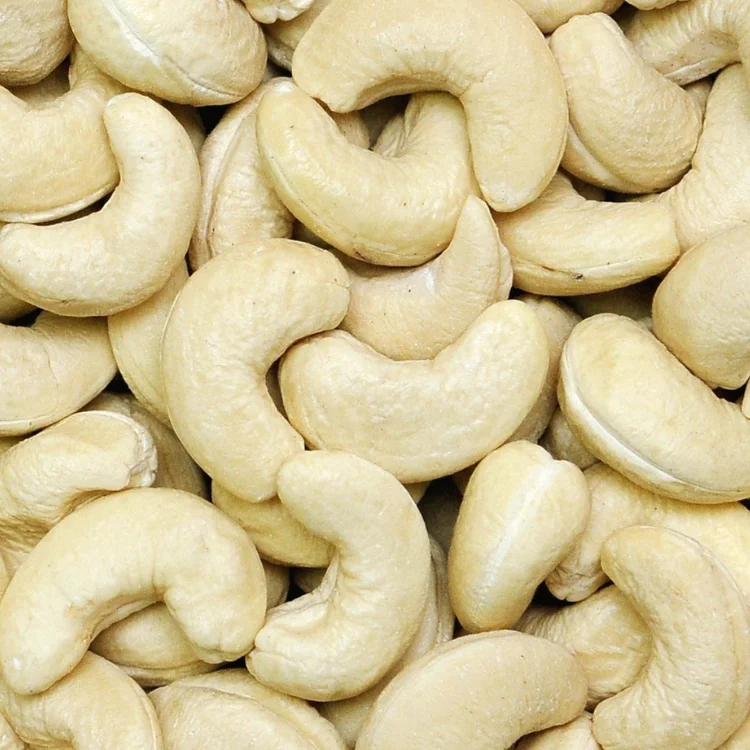 Top Grade Dried White Cashew Nuts Vietnamese Roasted Cashew Nuts Wholesale Good Quality Organic Raw Cashew Nuts For Sales