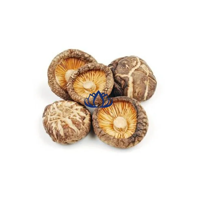 High Quality Cultivated Shiitake Mushrooms Available in Fresh and Frozen Styles