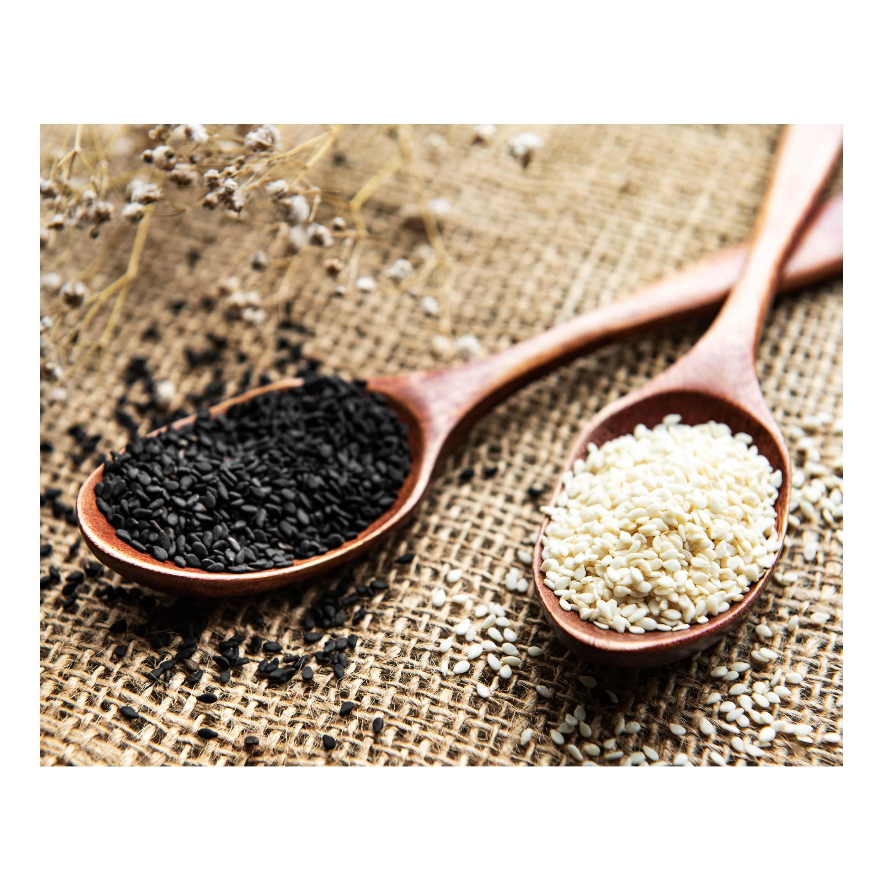 Высококачественные натуральные органические семена кунжута доступны для продажи по низкой цене