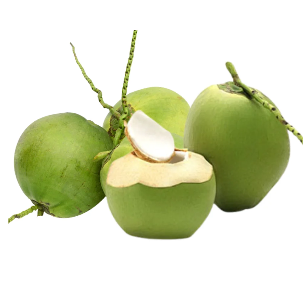 Wholesale Price Fresh Green Coconut for Drinking and Cooking Premium Quality from Viet Nam Manufacturer
