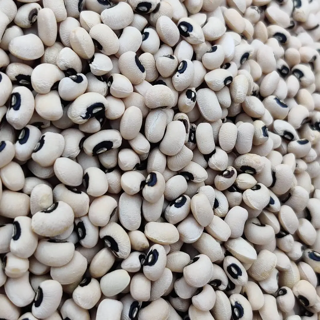 Чистые натуральные органические бобы черного глаза cowpea виноградные доступны высокое