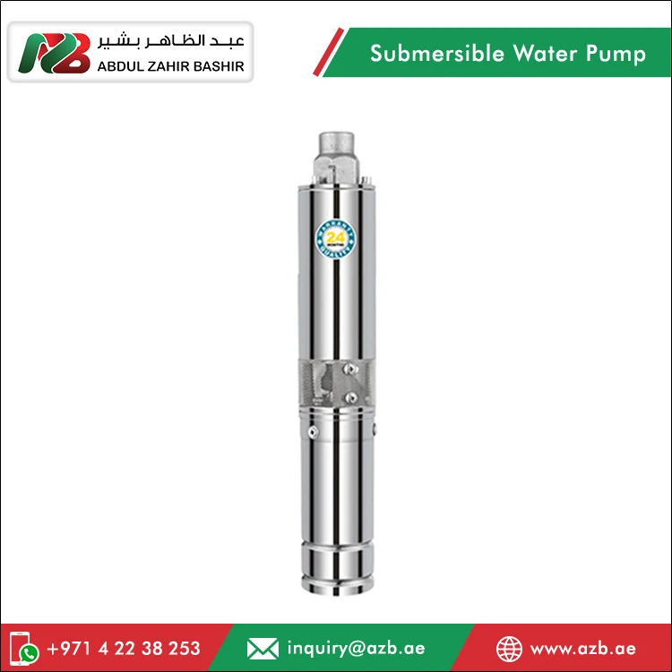 High Efficiency Excellent Performance 750W Power Submersible Water Pump for Livestock Feeding, Domestic Water Lifting