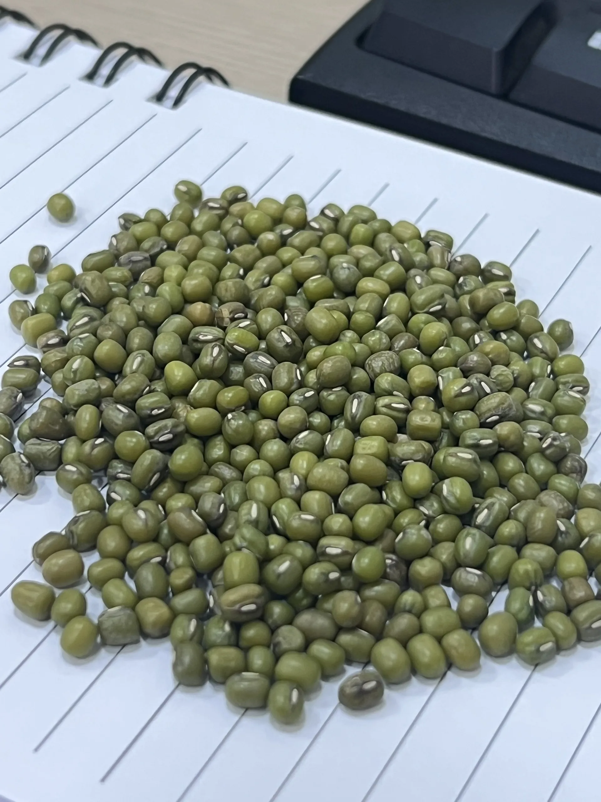 High Quality Green Mung Beans / Whole Beans Available For Sale - READY TO LOAD At GOOD Price