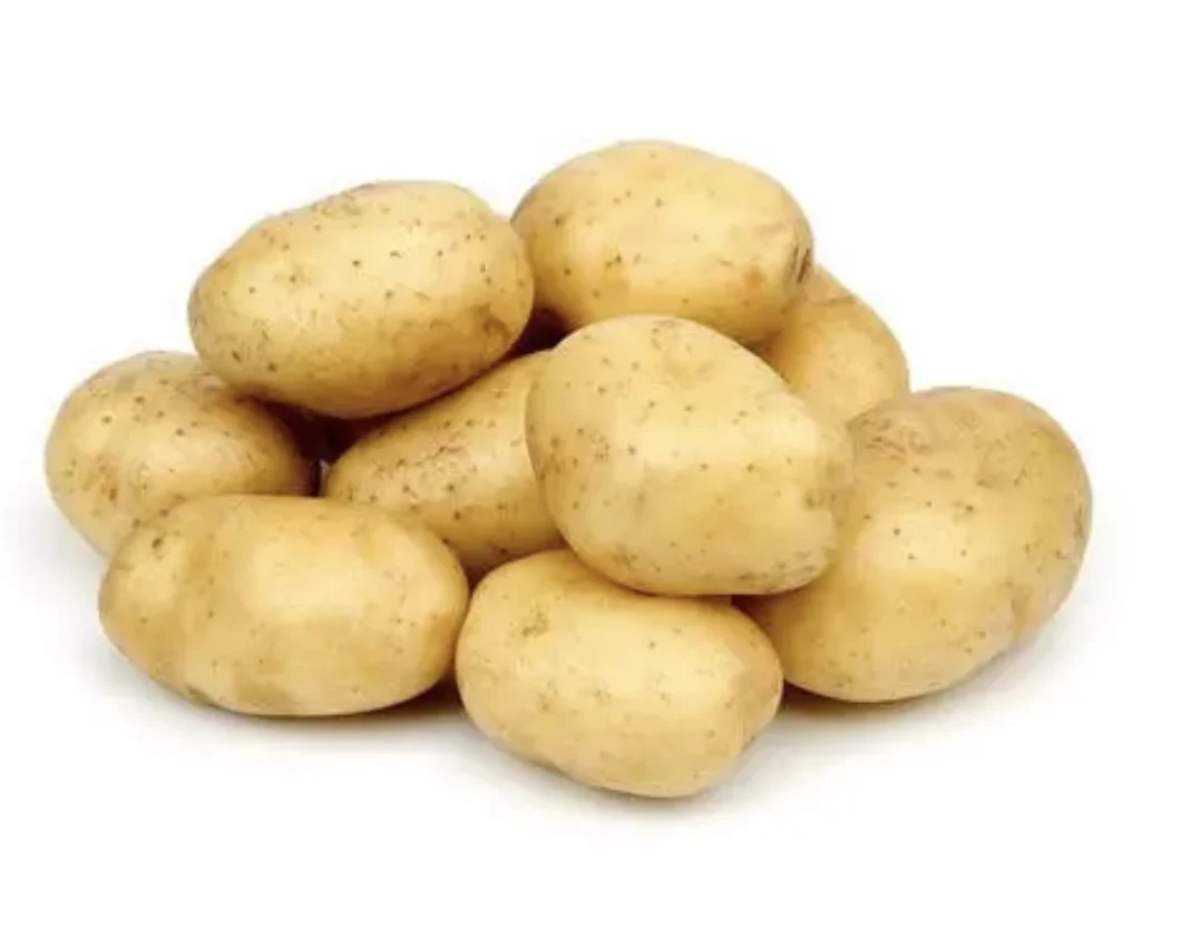 Organic Fresh Potatoes 100% High Quality Export Oriented Low Price For Wholesale Price Fresh Potato Holland From Bangladesh