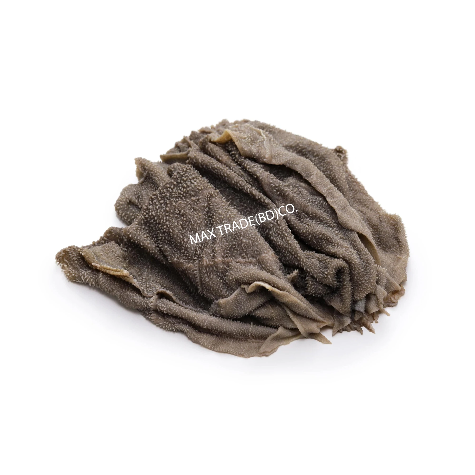 Hot Sale High Quality Exported Professional Manufacture Cheap Price Custom Beef Dried Frozen & Fresh Omasum From Bangladesh