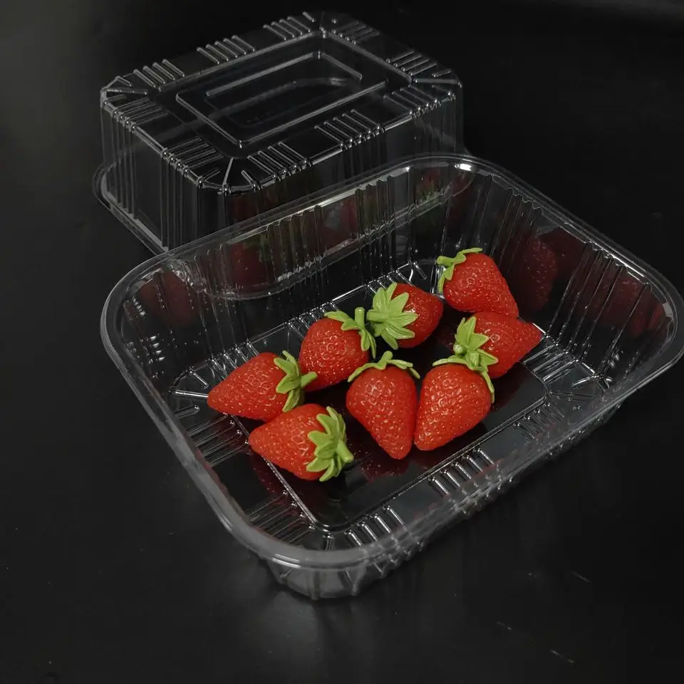 Absorbent Clear Plastic Meat Packing Tray For Supermarket Bandejas Desechables Meat Tray Packaging