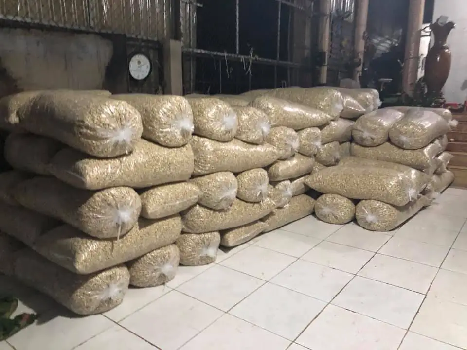 Cashew nuts are cheap. Vietnam Export Products Organic Cultivation Type Blanched Processing Type Fresh Cashew Peeled