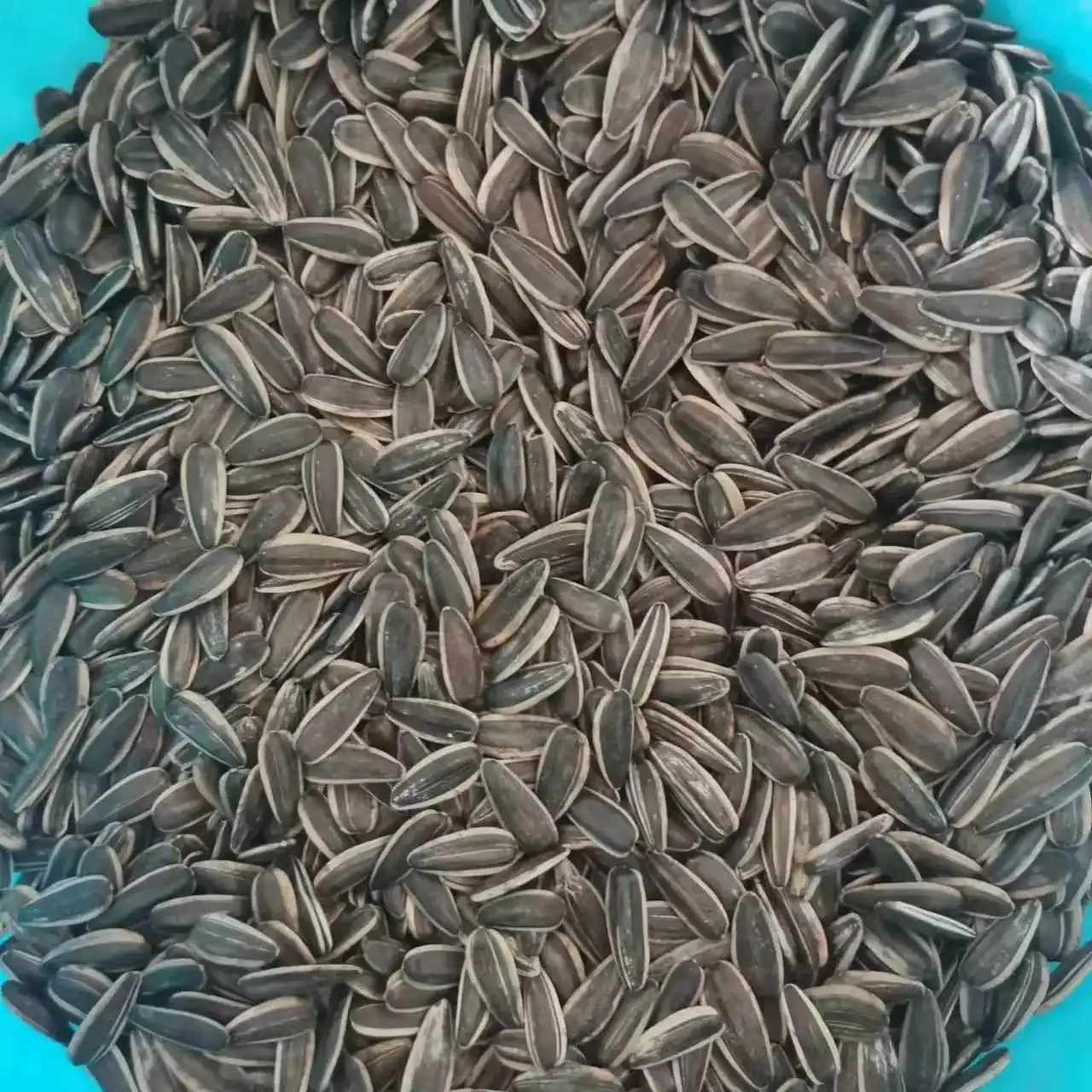 Black Sunflower Seeds