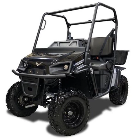 Factory Supply Wheel Drive Electric Lifted Golf Cart Hunting Electric Car Powerful 5KW AC Motor Controller Electric Golf Cart