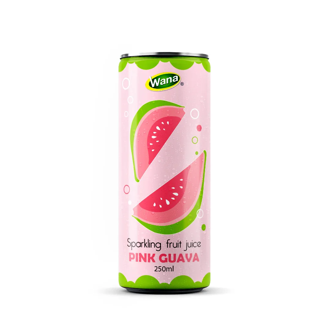 100% Sparkling Peach Soft Drink No Sugar Added 250mL Can OEM Flavored with Mango Lychee Halal Certified Fruity Carbonated Drink