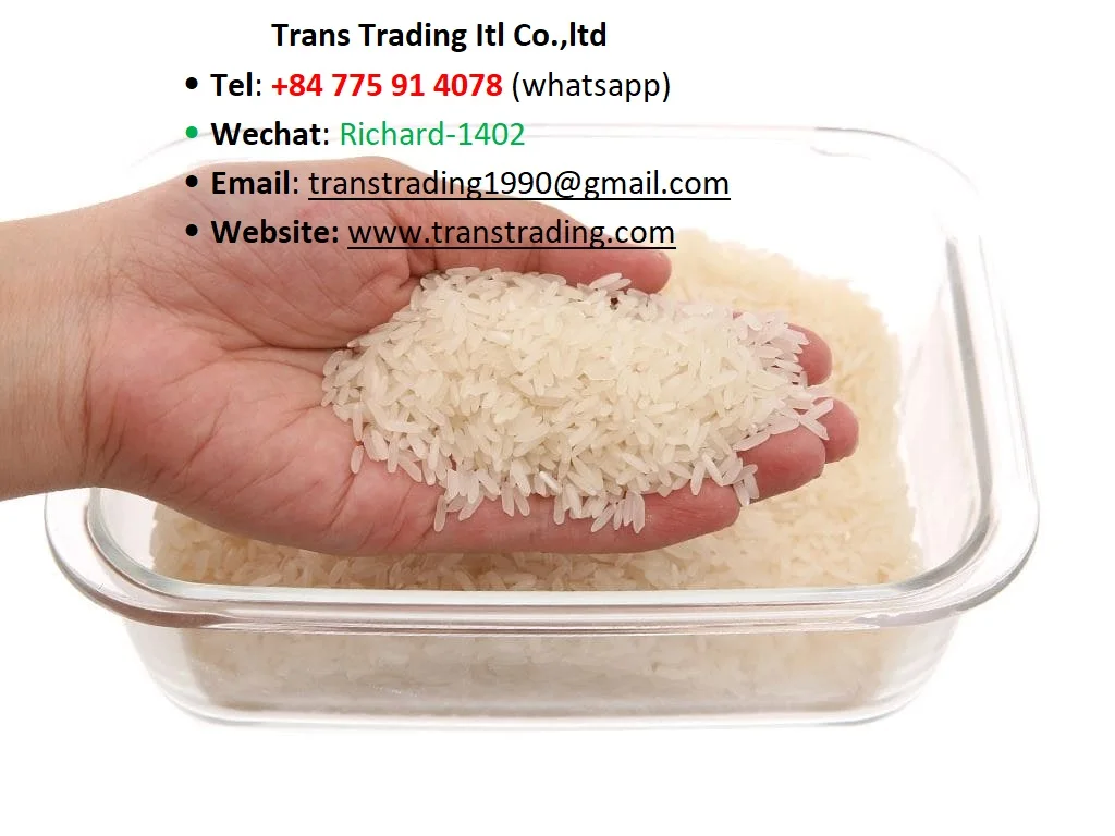 Storage Type Customized Packaging Glutinous paddy rice Vietnamese Long Grain Jasmine White Rice from Vietnam
