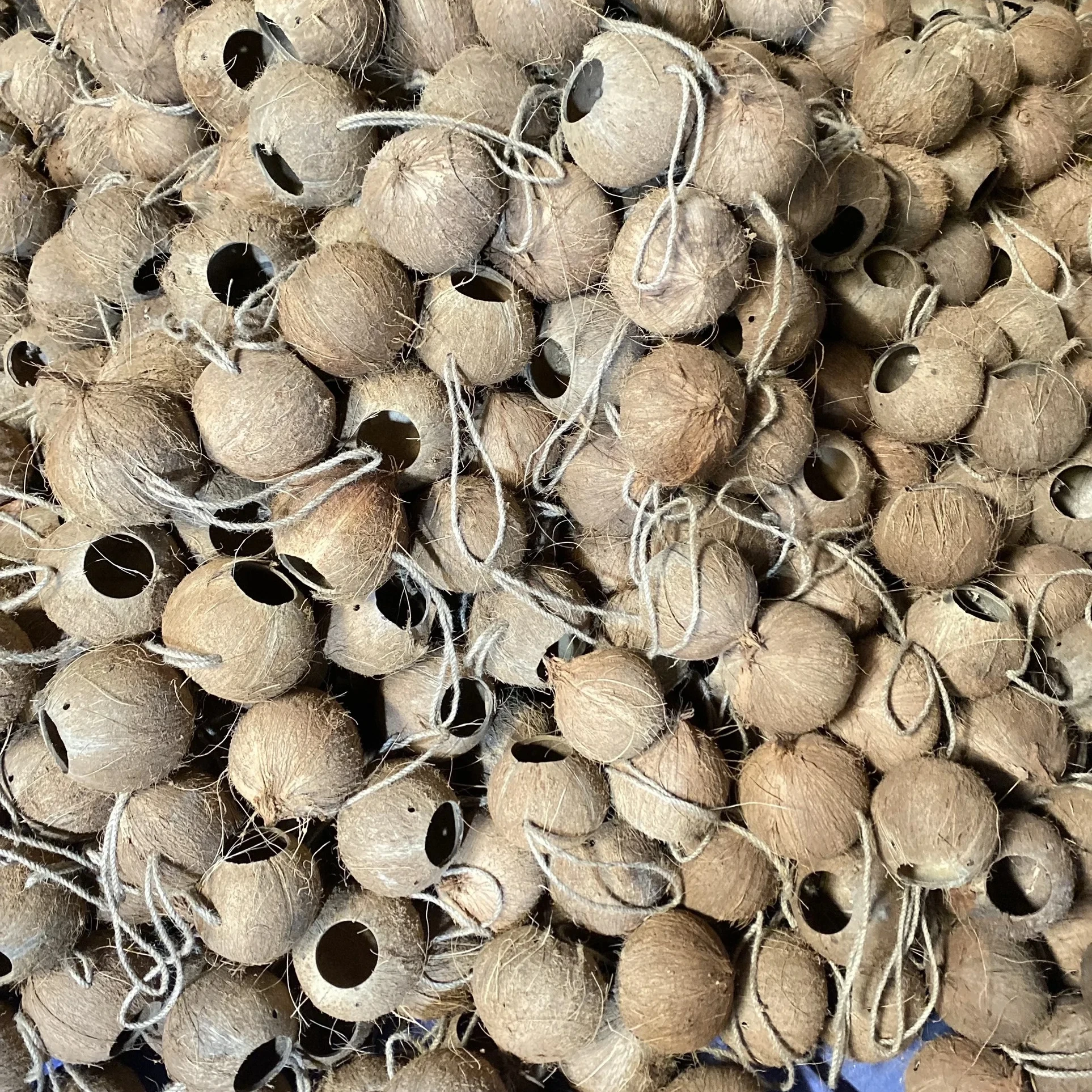 Natural Coconut Shell Bird Cage Bird Nest With Hanging Lanyard for Small Pet Parakeets Finches Sparrows Wholesales Price