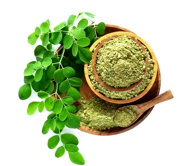 Premium Quality Pure Moringa Leaf Powder Food Grade Wild Cultivated Bottles Drums Available Bulk Quantity Cheap Price India