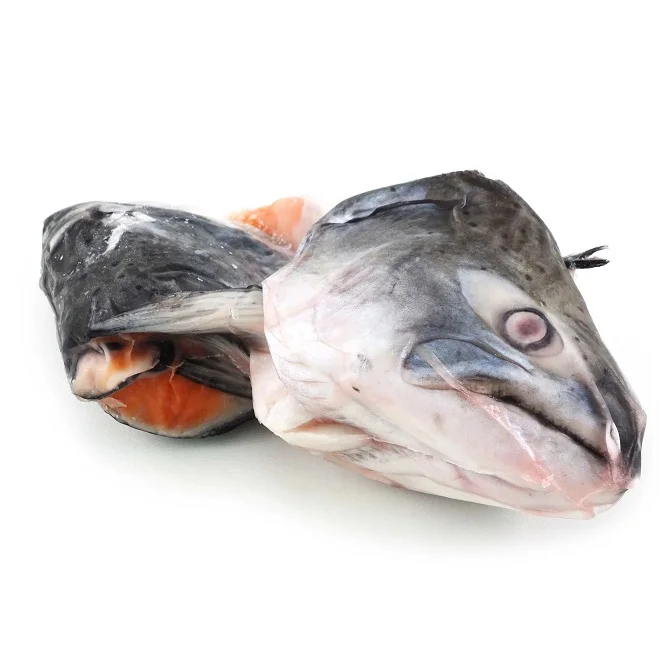 Salmon head Buy salmon head for best price 10Kg Carton Packaging