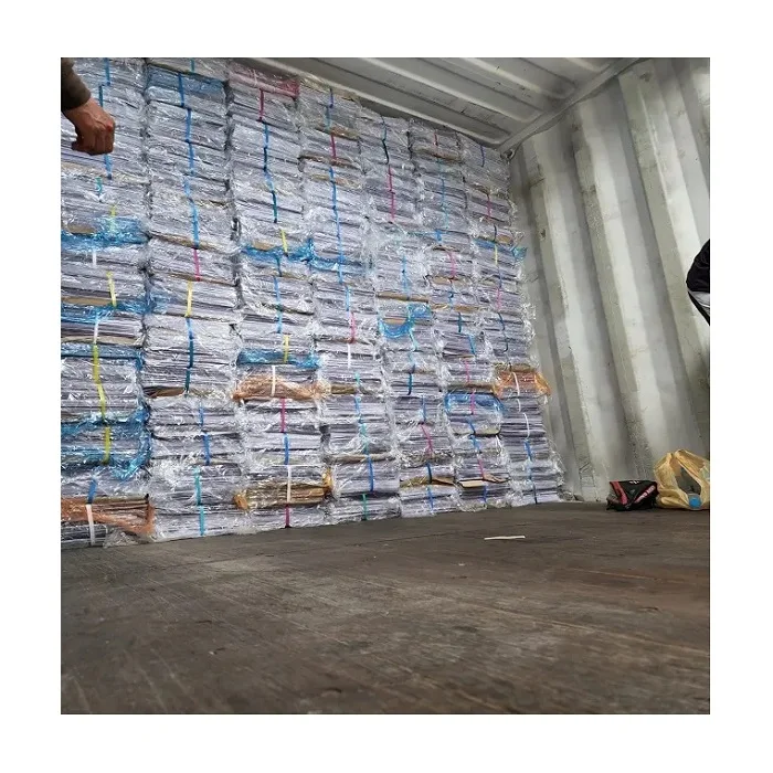 ONP Waste Paper Scrap/ Over Issued Newspaper/News Paper Scraps/OINP